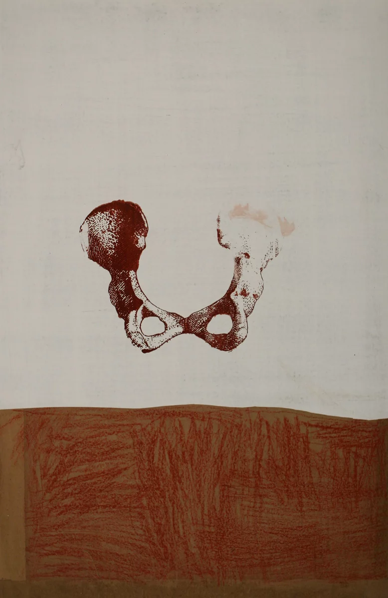 Cradle / Sacrum, 2005